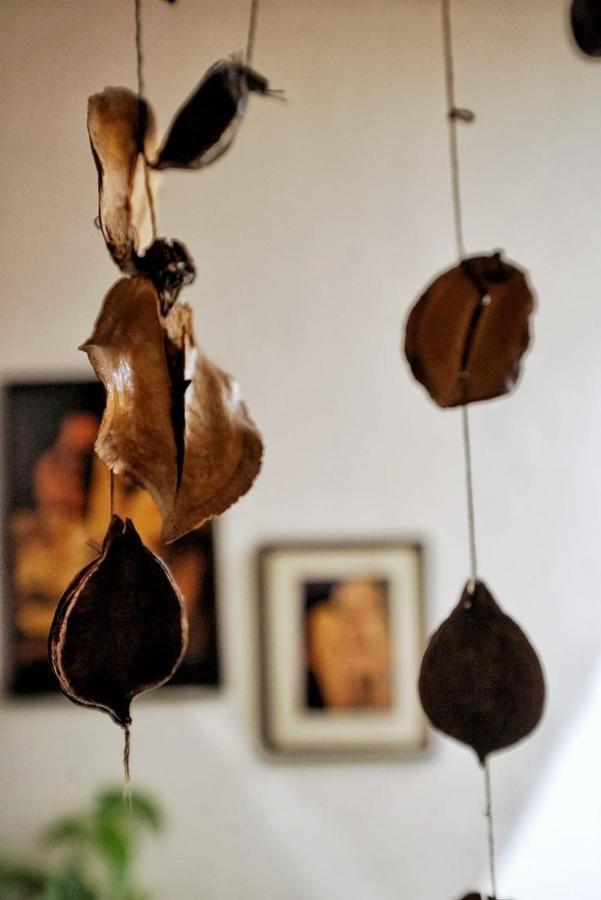 The Blue Room ميندوزا المظهر الخارجي الصورة